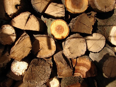 Купить дрова цена Харьков